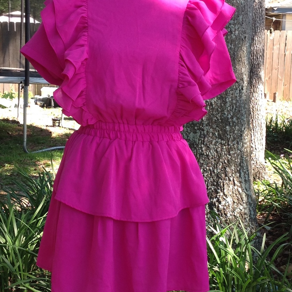 Magenta Ruffled Dress - Picture 4 of 6